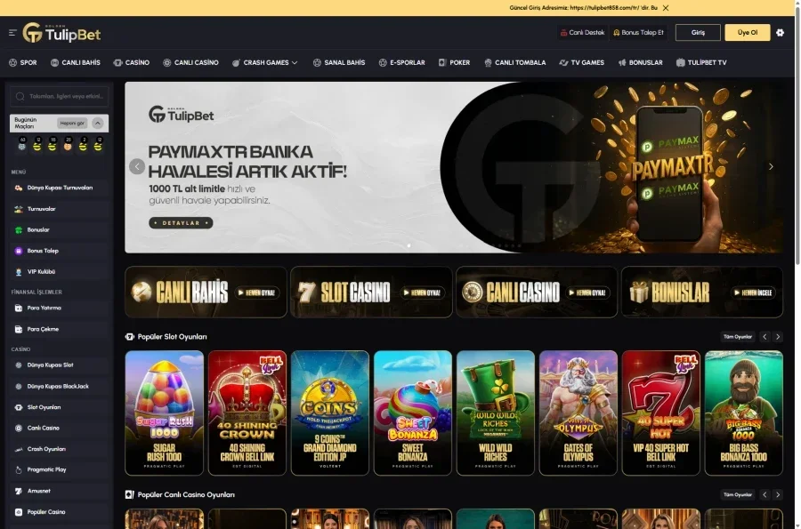Tulipbet ekran görüntüsü